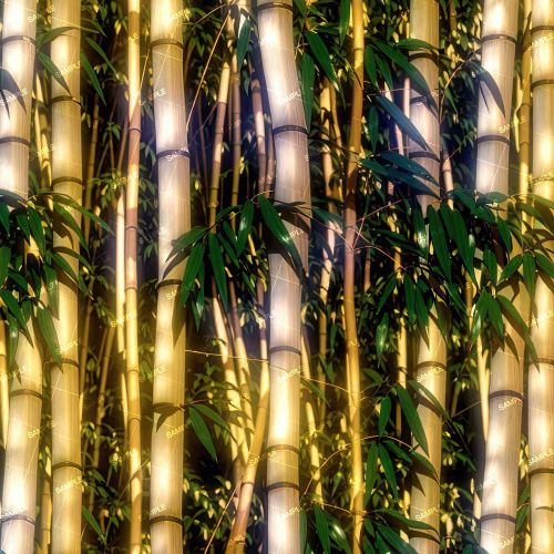 Bamboo Forest 43