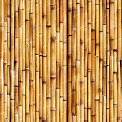 Bamboo Wall 43