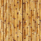 Bamboo-Wall-43