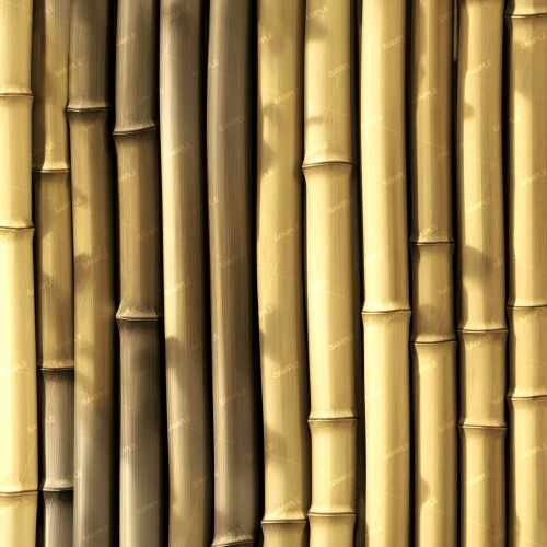 Bamboo Wall 49