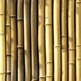 Bamboo-Wall-49