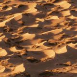 Beach-Dunes-at-Sunset
