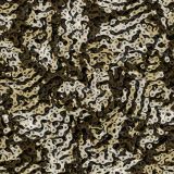 Bike-Chain-Camo-24