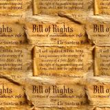 Bill of Rights 45
