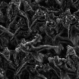 Black-Panther-25.jpg