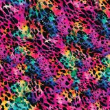 Black-Spotted-Neon-Watercolor
