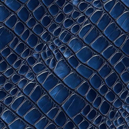Blue Nile Crocodile