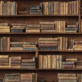 Bookshelf-48