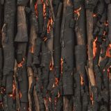 Burning-Sticks