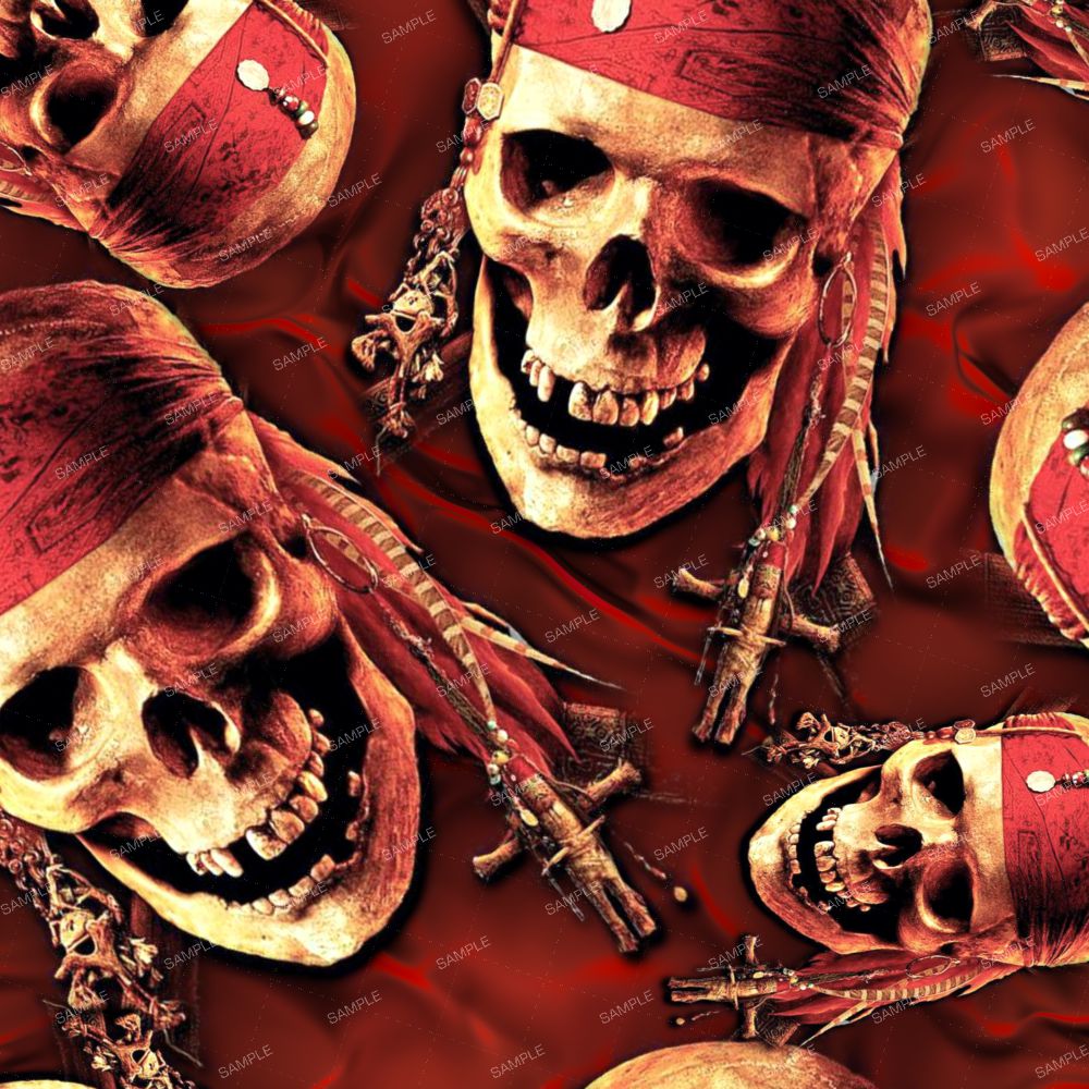 Carribean Pirates 42