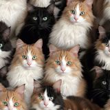 Cats-Painting-42