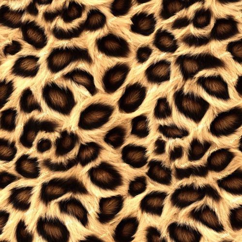 Cheetah Fur 44