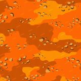 Chocolate-Chip-Desert-Storm-Camo-27