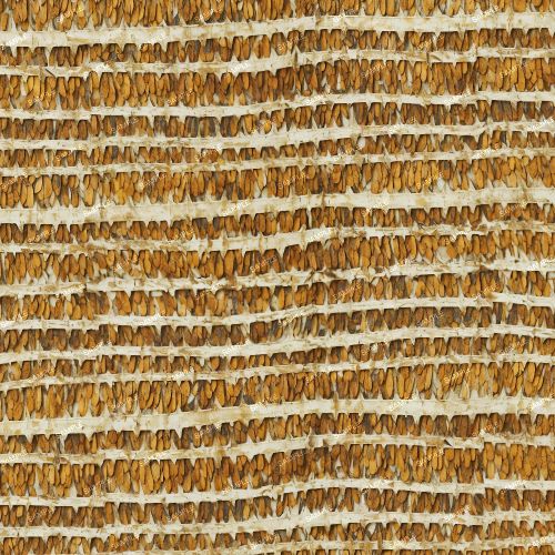 Coconut Palm Tree Bark 23