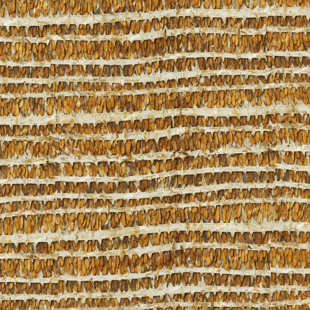Coconut Palm Tree Bark 23