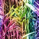 Colored-Leaves-43