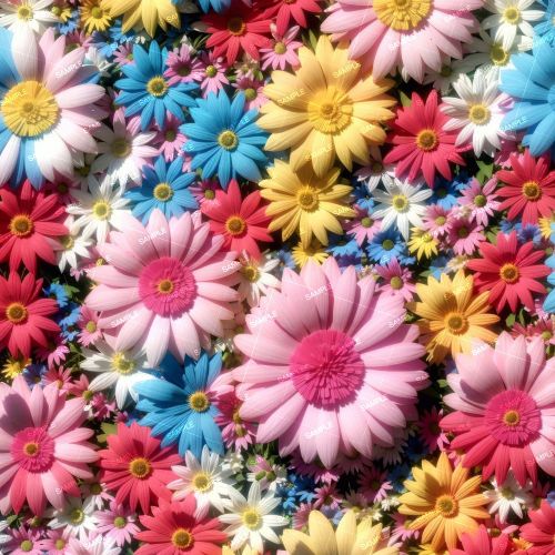 Crafted Daisey Flowers
