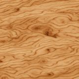 Curly-Birch-Woodgrain