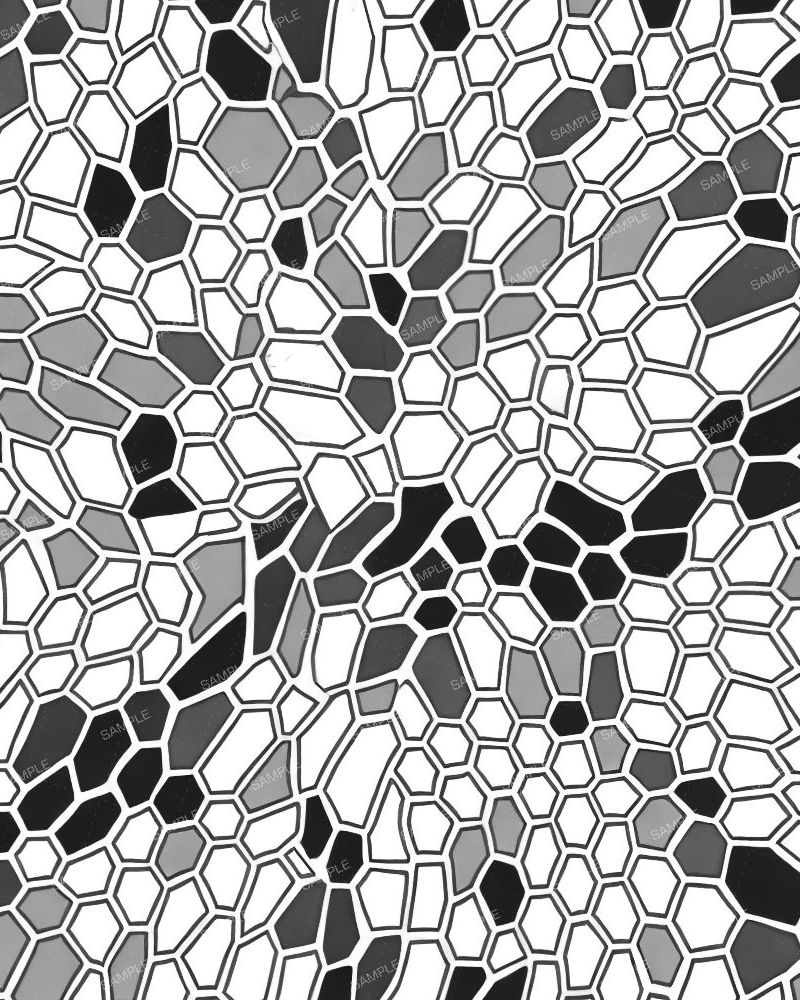 DIstorted Hex Cells