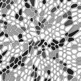 DIstorted-Hex-Cells