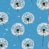 Dandelions-on-the-Wind