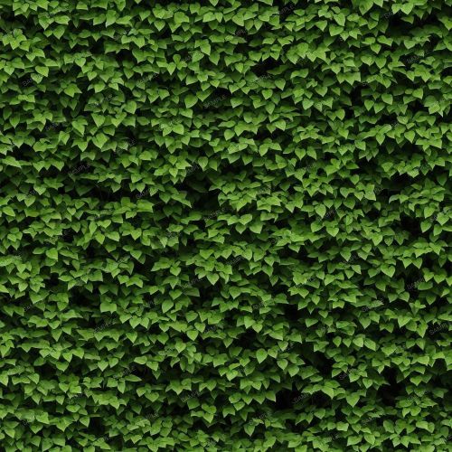 Dark Bush 42
