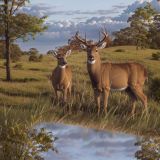 Deer-in-a-Field