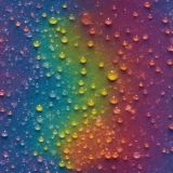 Dew-on-a-Rainbow-1