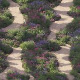 Down-the-Garden-Path