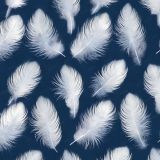 Downy-Feathers-on-Navy