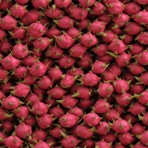 Dragon Fruit