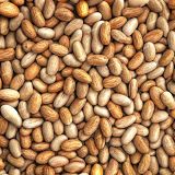 Dried-Beans