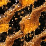 Dripping-Honeycomb