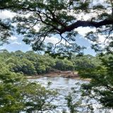 Dry-Lake-Scene