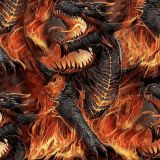 Fire-Dragon-22