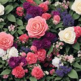 Flower-Garden-Bouquet