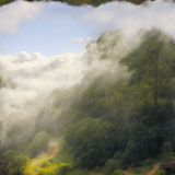 Foggy-Mountain-Breakdown
