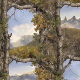 Framed-Mountains-Camo