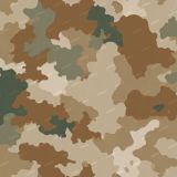 Generic-Camo-66