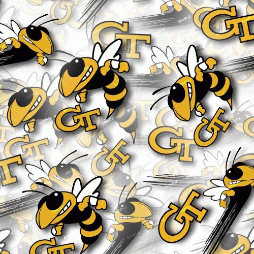 Georgia Tech 23