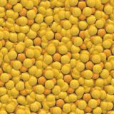 Gold-Atoms-23
