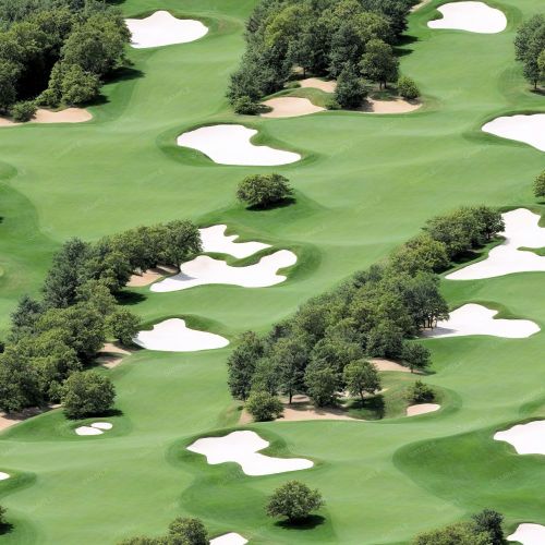Golf Course with Sand Traps