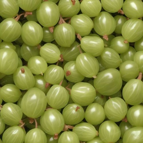 Gooseberries 42