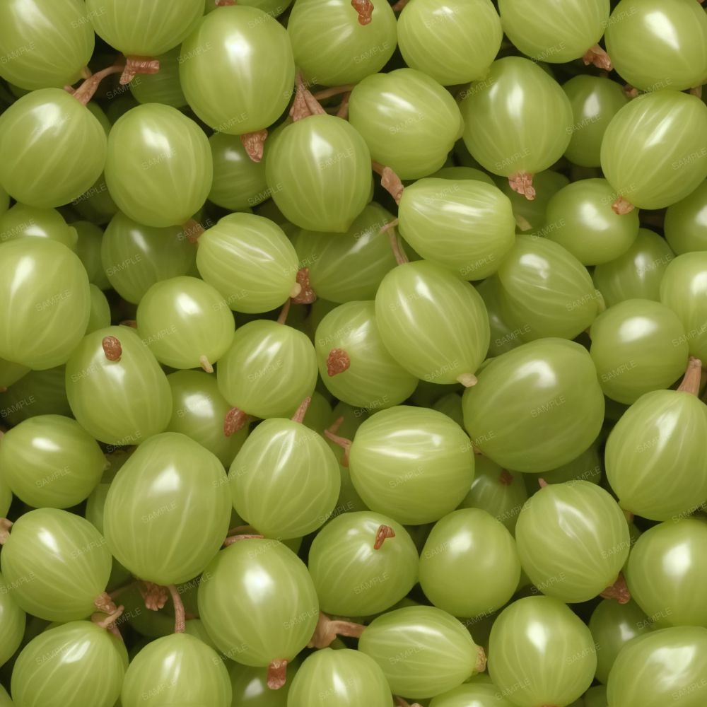 Gooseberries 42