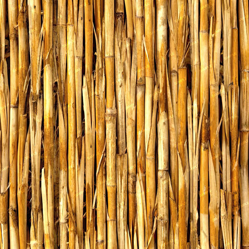 Grass Reeds 44
