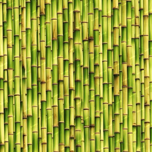 Green Bamboo Wall 42