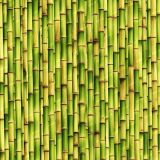 Green-Bamboo-Wall-42