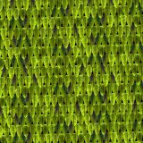 Green-Snake-Scales