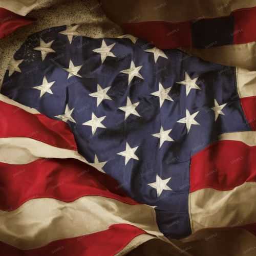 Grunge US Flag 57