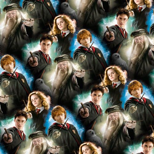 Harrys Gang 22